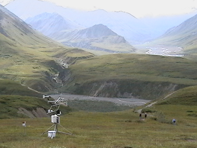 Best landscape photo from Denali National Park